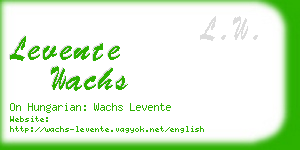levente wachs business card